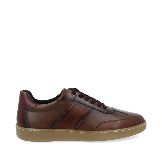 Tenis Urbano Trender color Cafe para Hombre