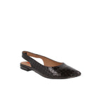 Balerina Casual Trender color Chocolate para Mujer